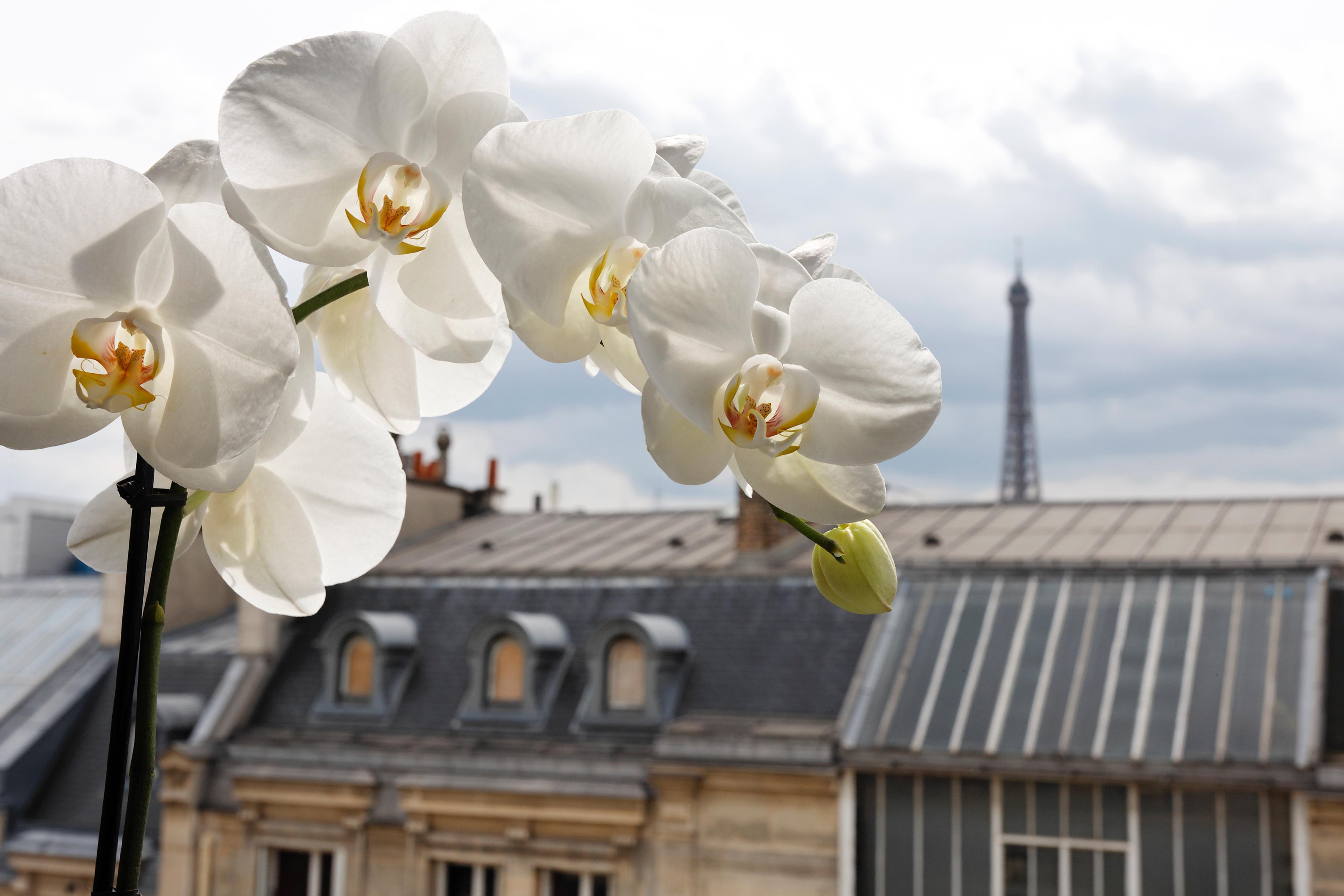 La Tremoille Paris Hotel Eksteriør billede